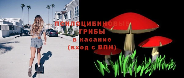 ГАЛЛЮЦИНОГЕННЫЕ ГРИБЫ Арсеньев