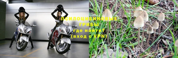 ГАЛЛЮЦИНОГЕННЫЕ ГРИБЫ Аркадак